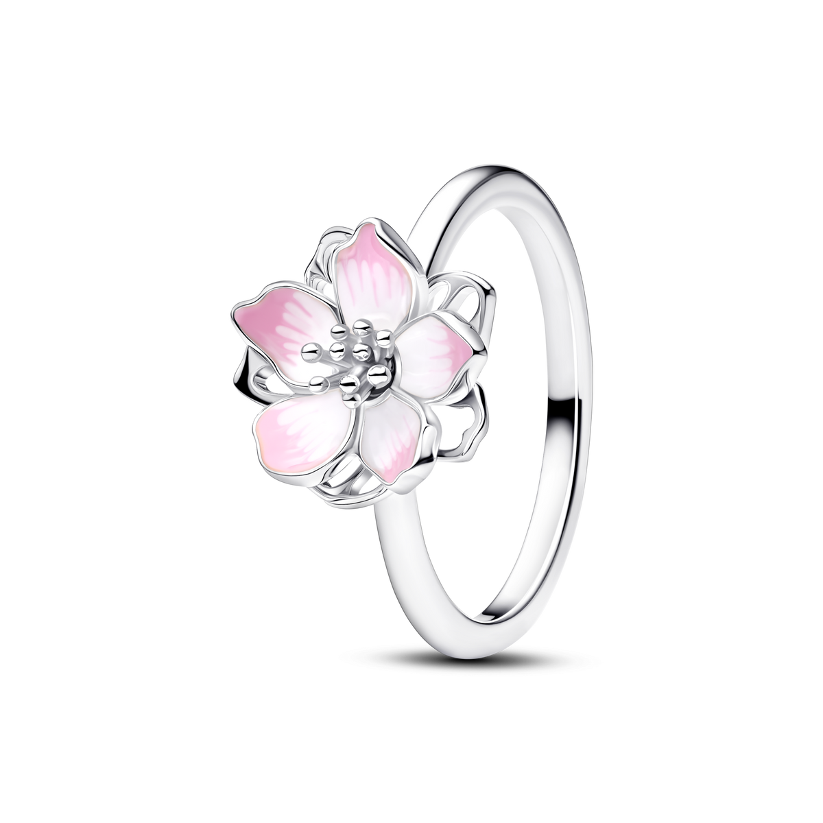 Cherry Blossom full collection set