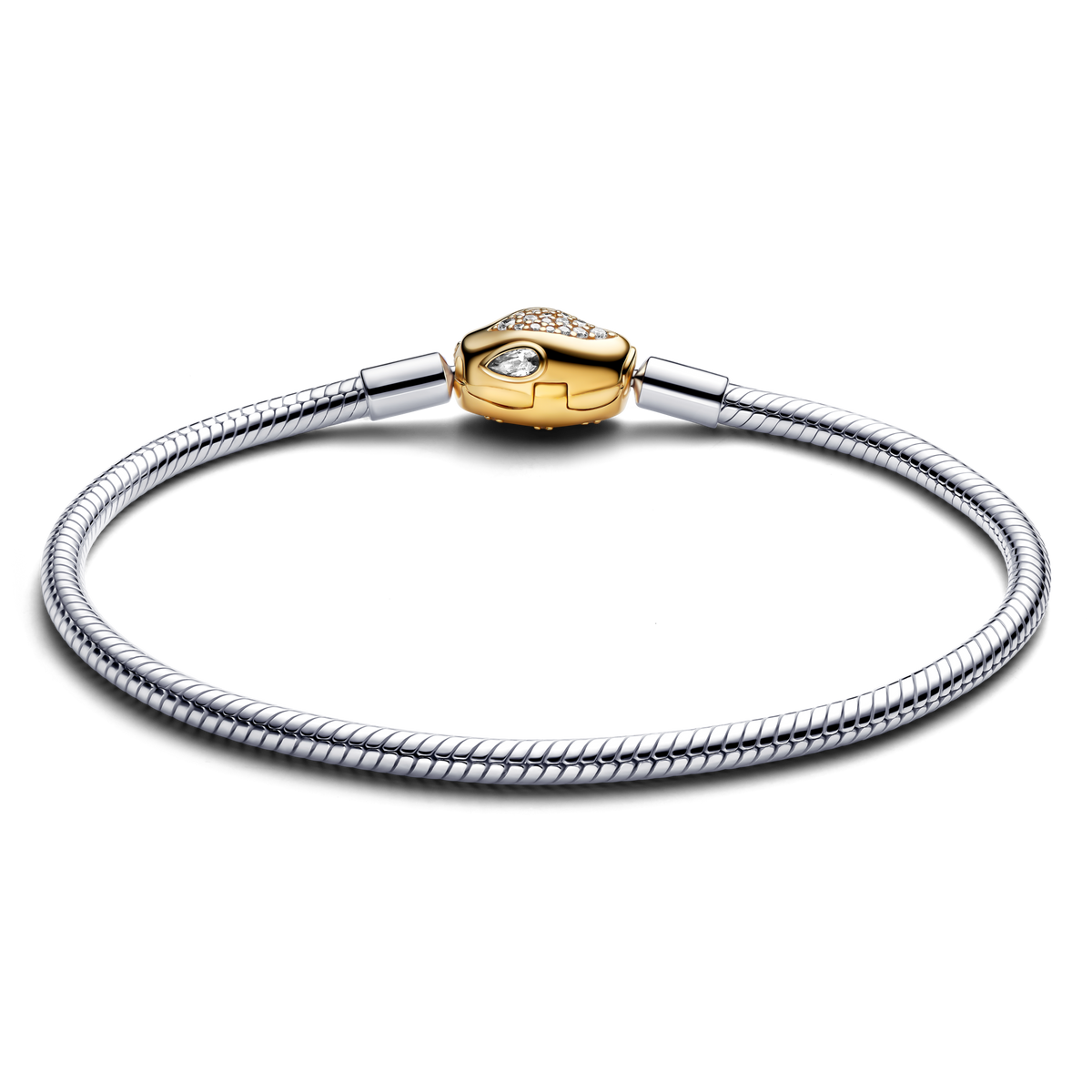Snake Clasp & Chain Bracelet
