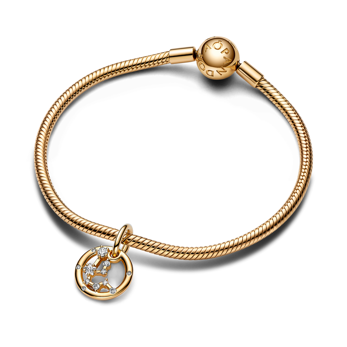Aquarius Zodiac Dangle Charm