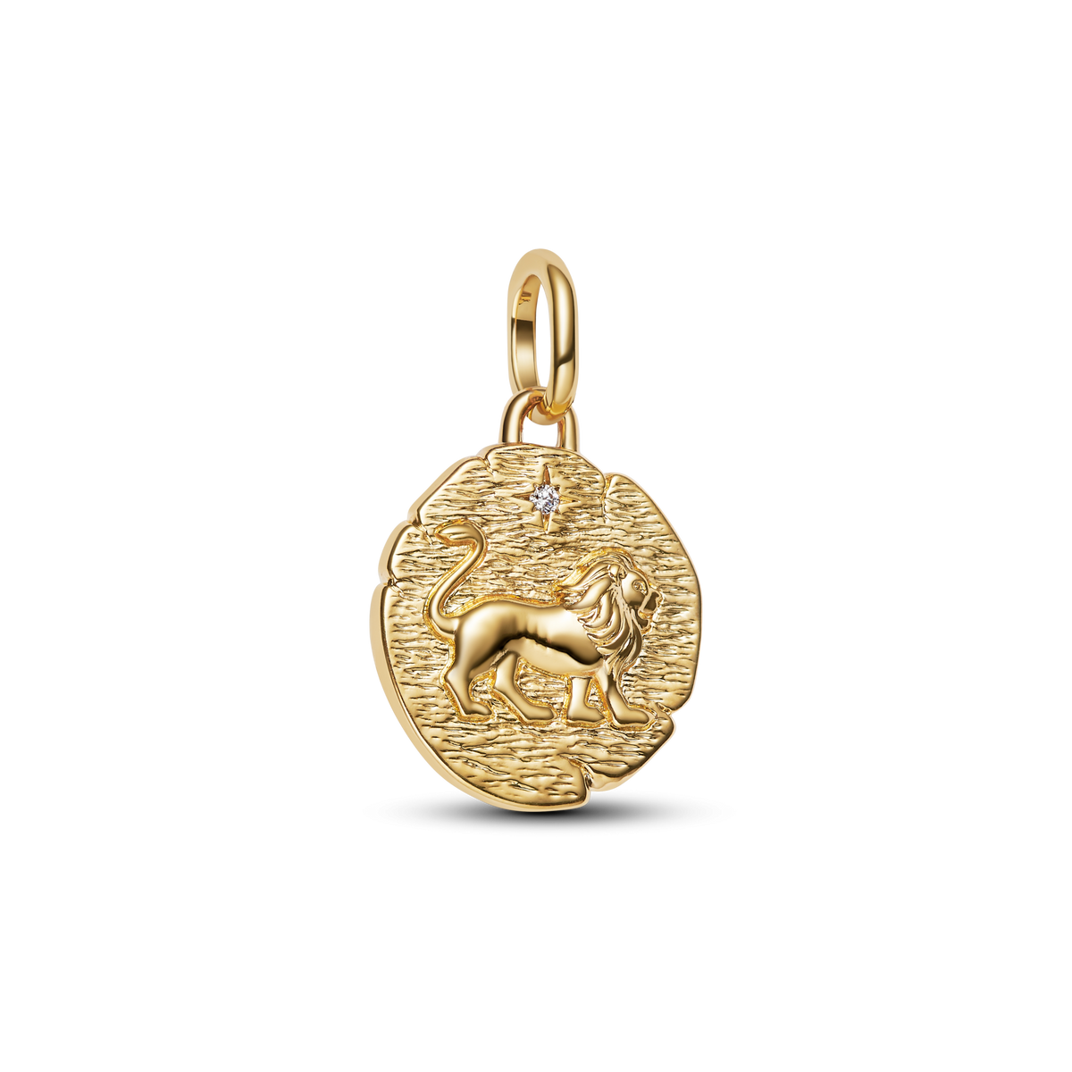 Lion Medallion Charm Earrings