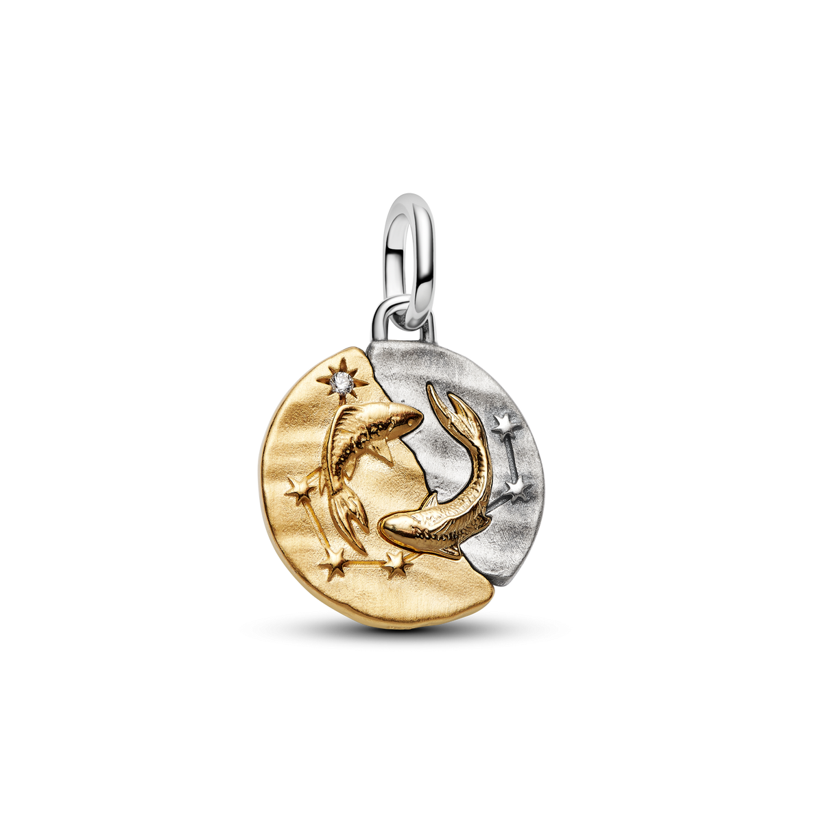 Pisces Zodiac Medallion Charm