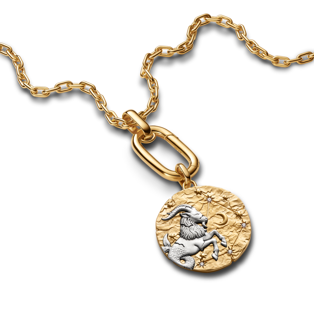 Capricorn Zodiac Oversized Medallion Charm