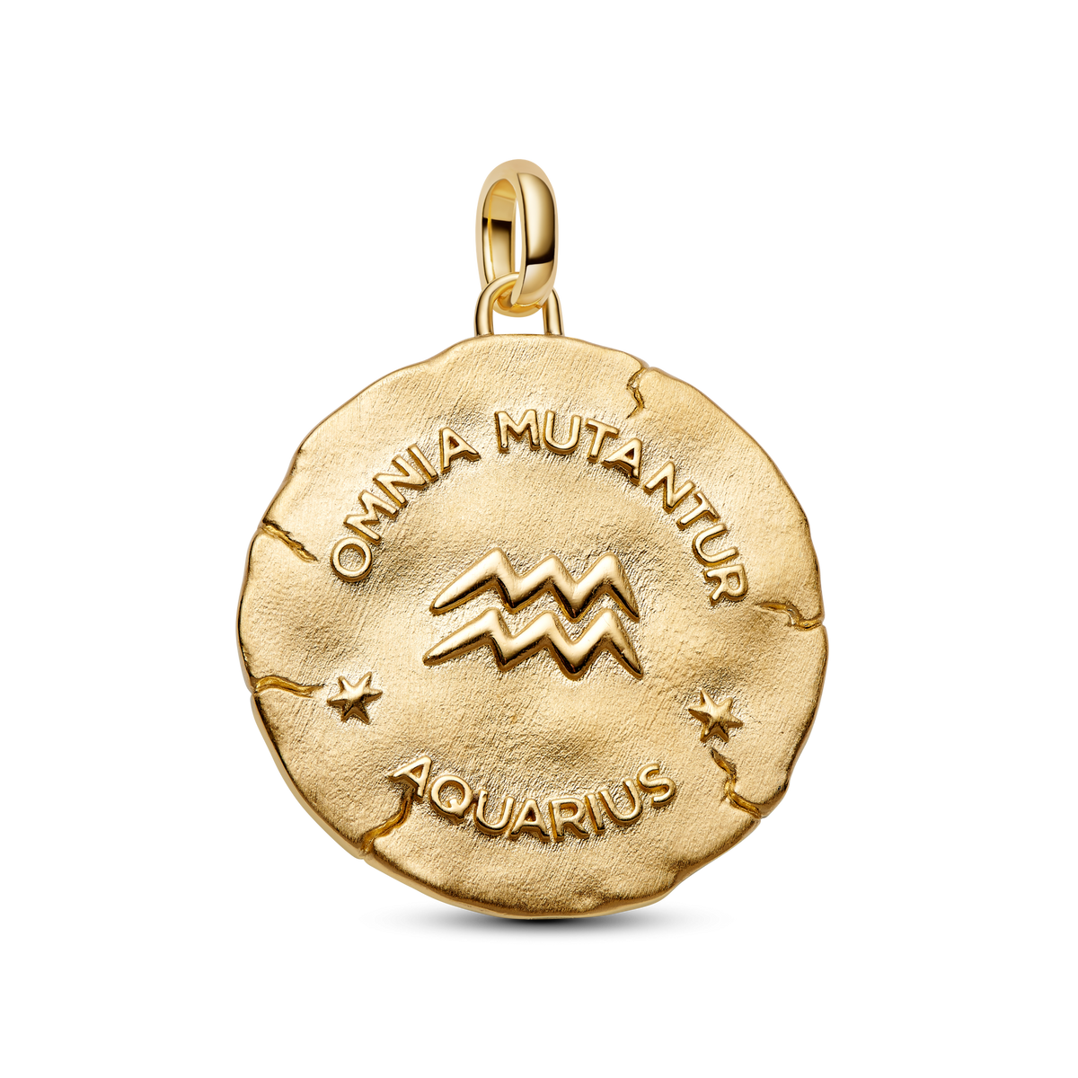 Aquarius Zodiac Oversized Medallion Charm