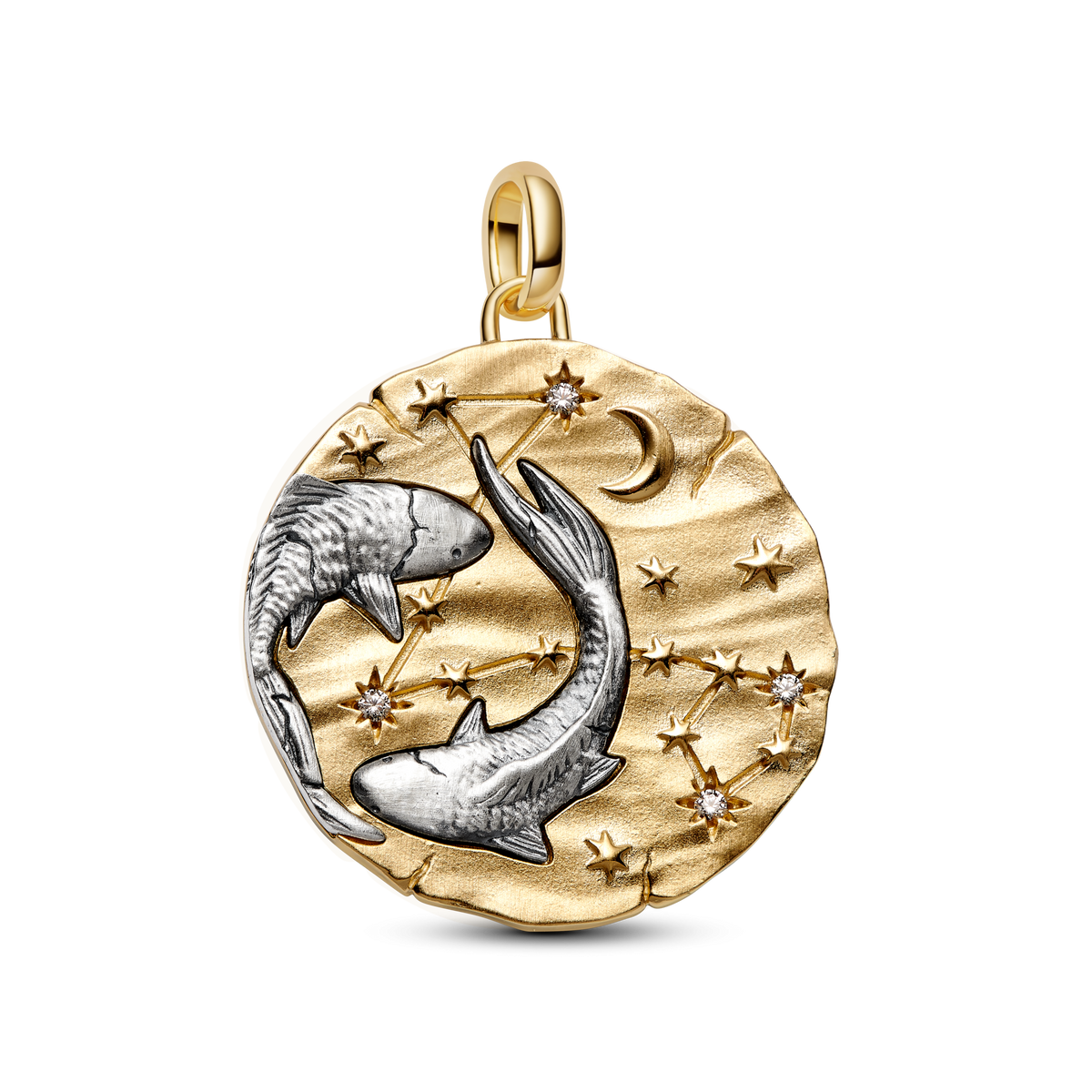 Pisces Zodiac Oversized Medallion Charm