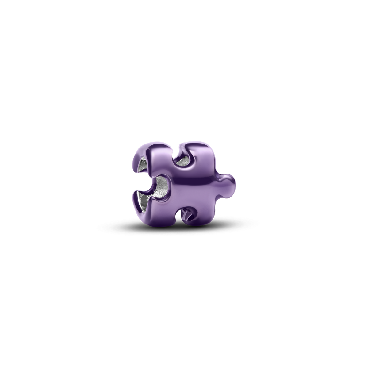 Puzzle Perfect Charm Duo