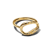 Organically Shaped Stone-Set Statement Ring