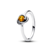 FINAL SALE - November Honey Eternity Circle Ring