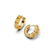 Yellow Hoop Earrings