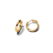 Twisted Hoop Earrings