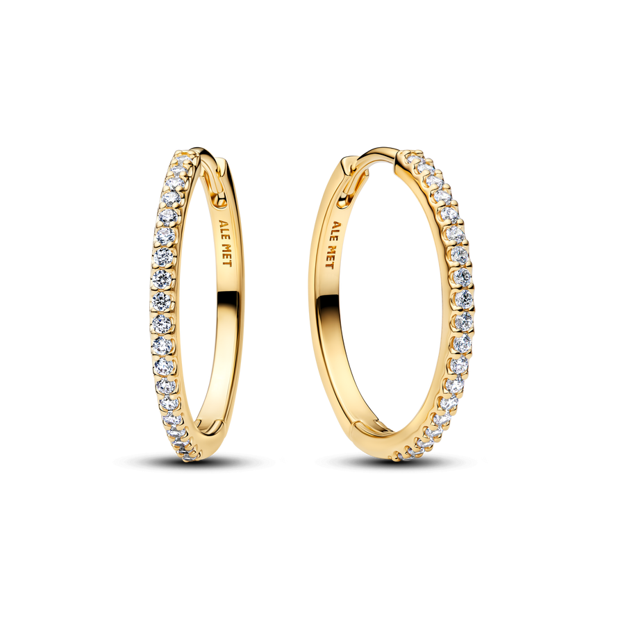 Sparkling Hoop Earrings