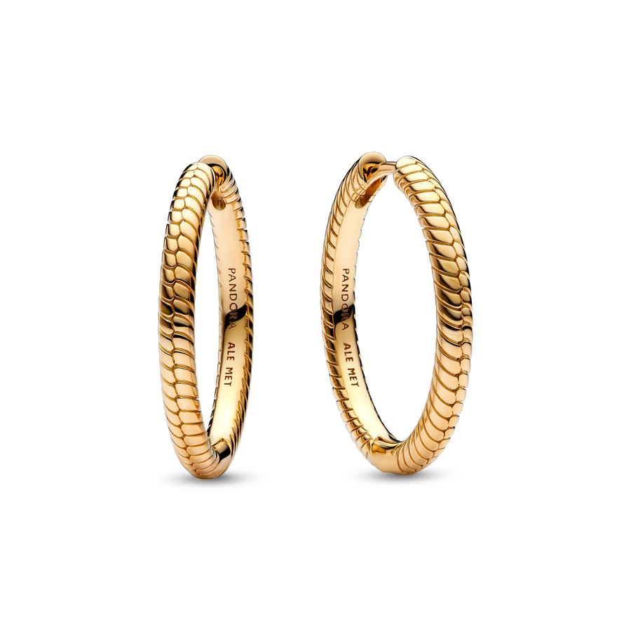 Pandora Moments Charm Hoop Earrings