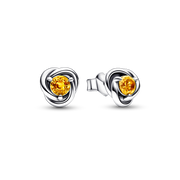 FINAL SALE - November Honey Eternity Circle Stud Earrings