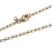 Elongated Link Chain Necklace