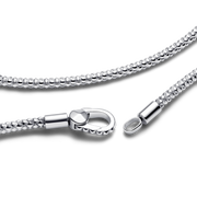 Studded Clasp & Chain Necklace