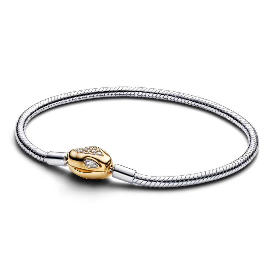 Snake Clasp & Chain Bracelet