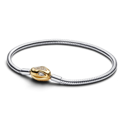 Lunar New Year Snake Clasp & Chain Charm Bracelet Set