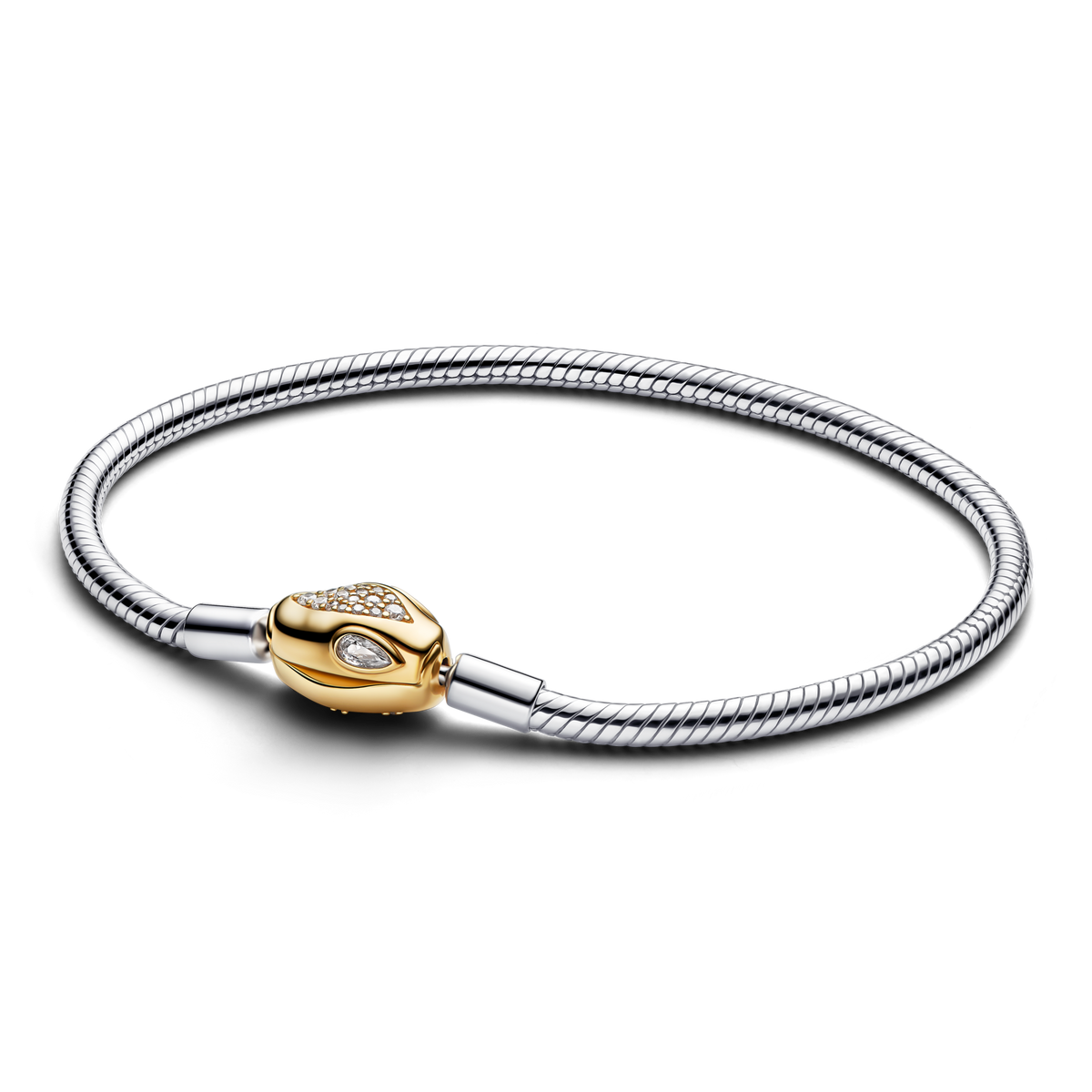 Lunar New Year Snake Clasp & Chain Charm Bracelet Set