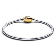 Snake Clasp & Chain Bracelet