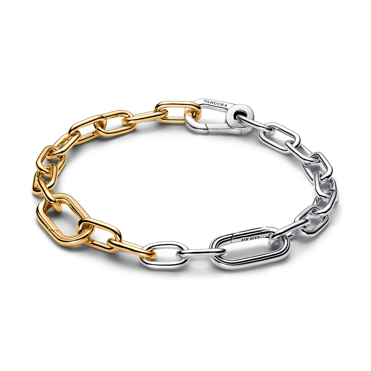 Capricorn Medallion Charm Bracelet Set