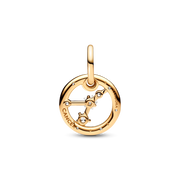 Cancer Zodiac Dangle Charm