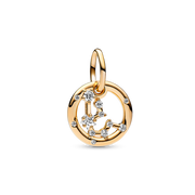 Aquarius Zodiac Dangle Charm