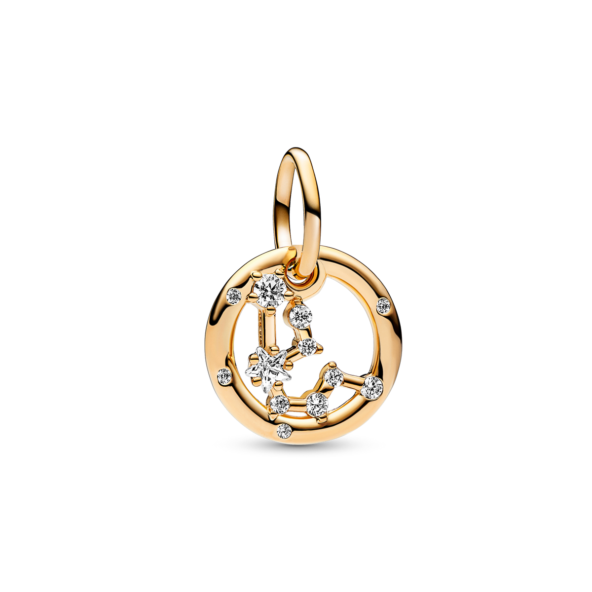 Aquarius Zodiac Dangle Charm