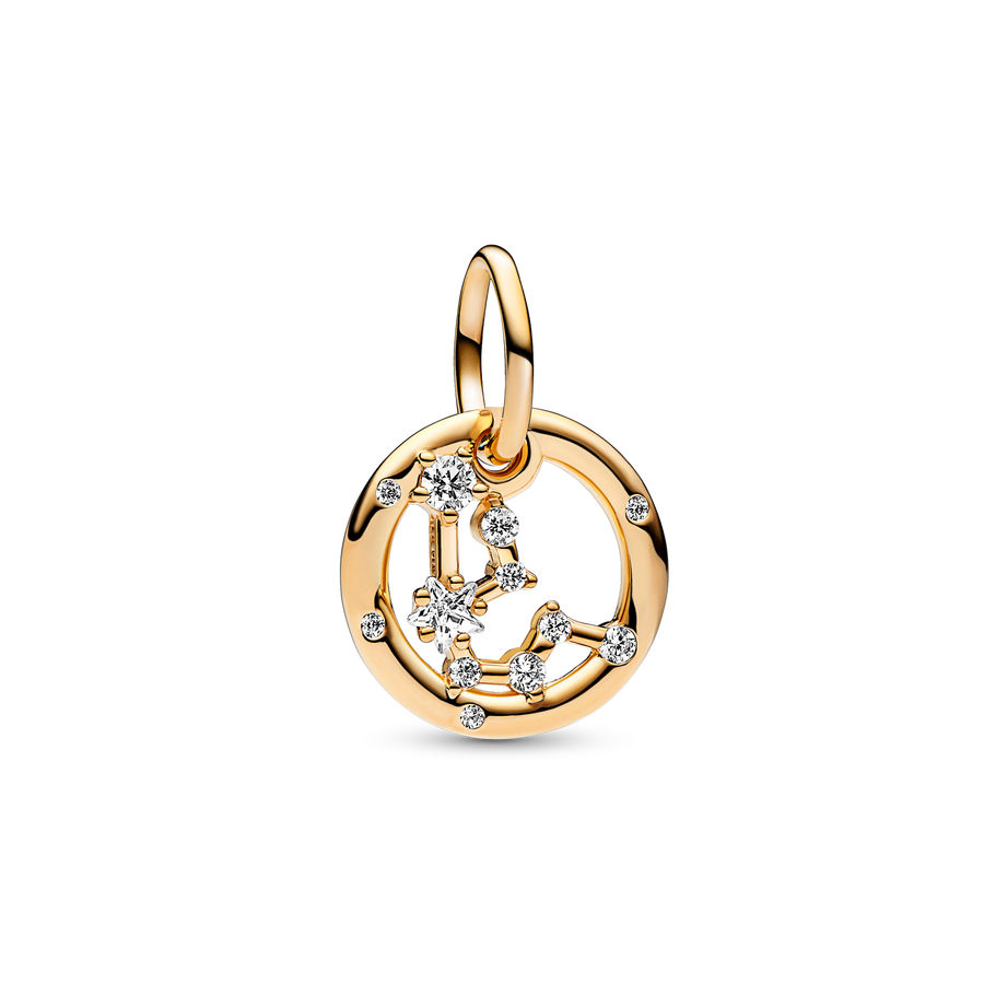 Aquarius Zodiac Dangle Charm