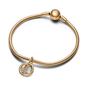 Aquarius Zodiac Dangle Charm