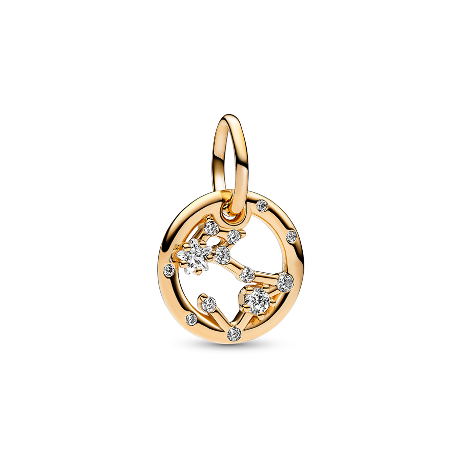 Pisces Zodiac Dangle Charm