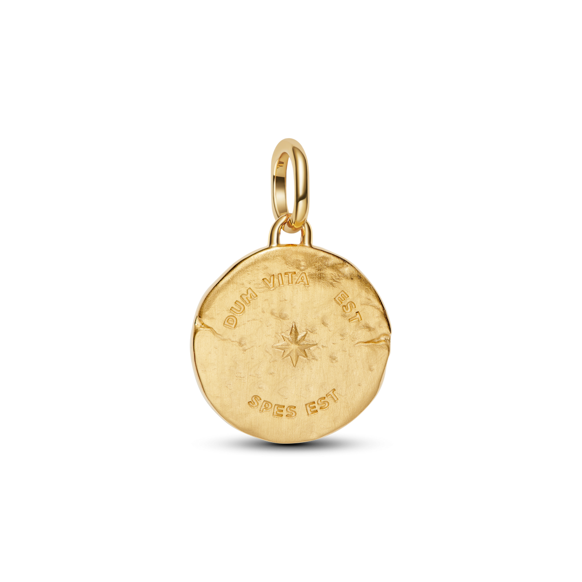 Swallow Medallion Charm