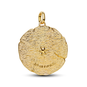 Crossing Arrows Oversized Medallion Charm