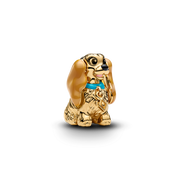 Disney Lady Charm