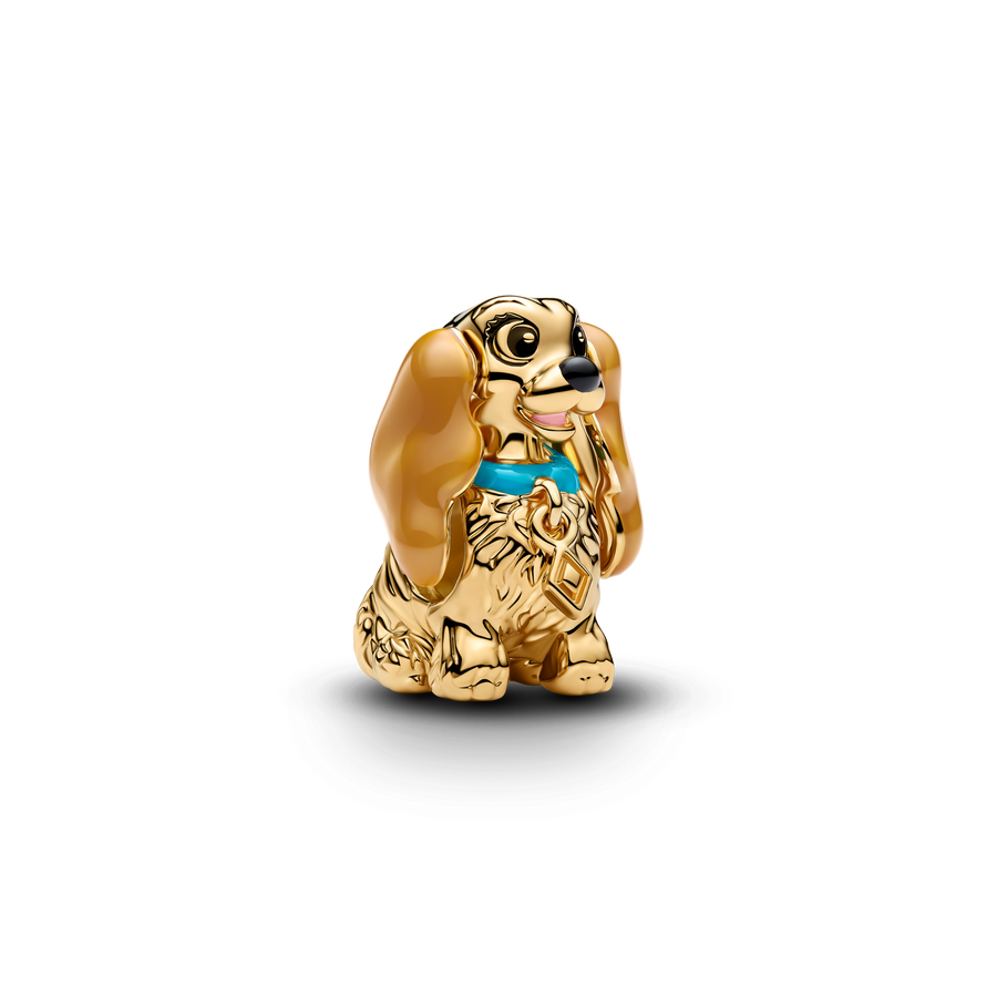 Disney Lady Charm