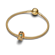 Disney Lady Charm