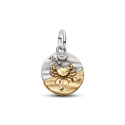 Cancer Zodiac Medallion Charm