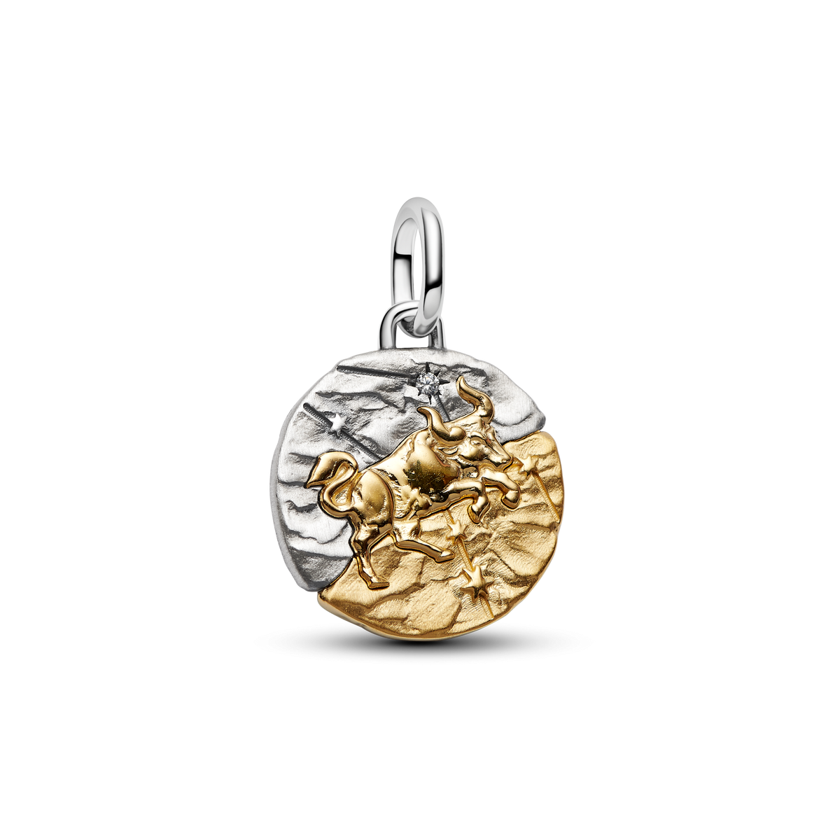 Taurus Medallion  Charm Necklace Set