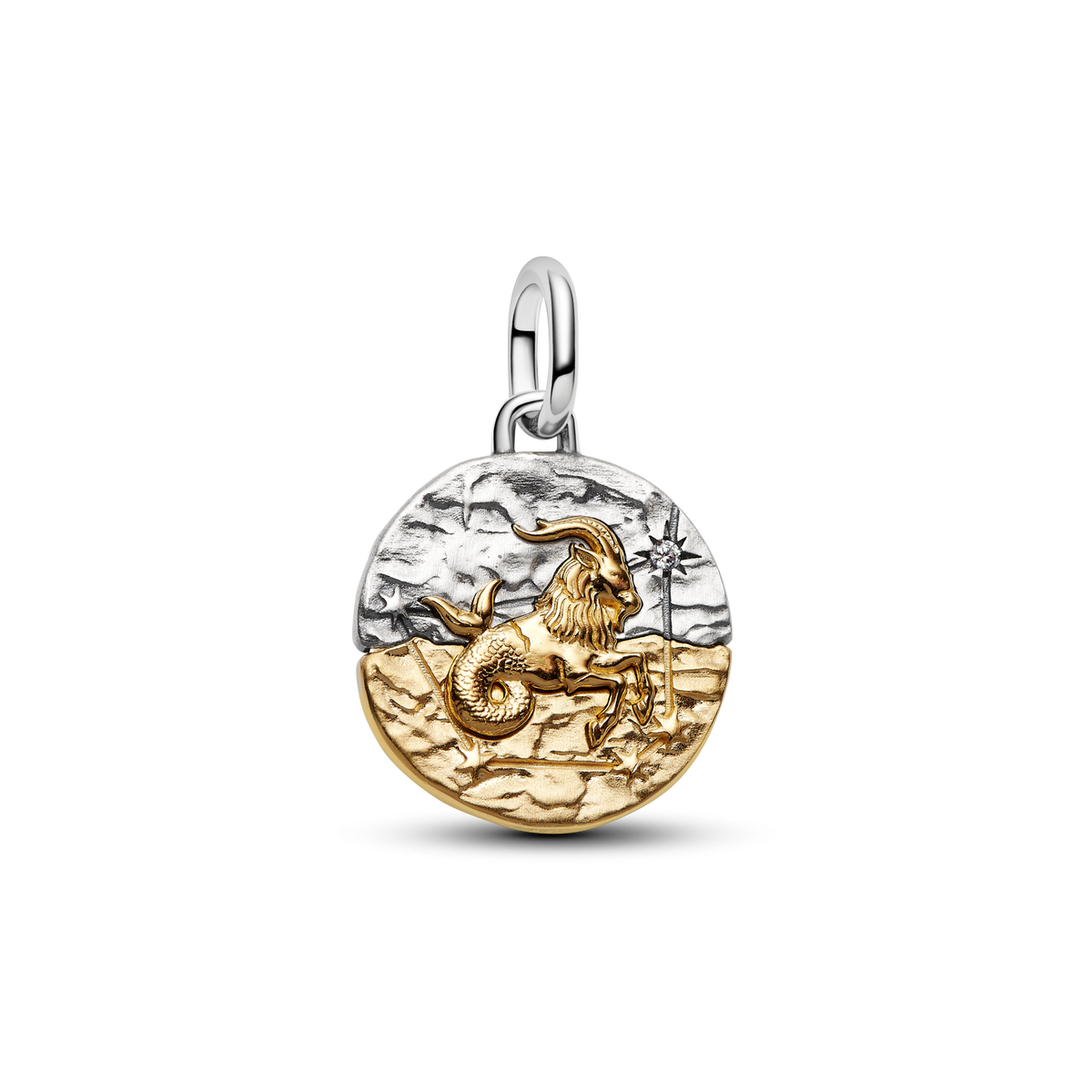 Capricorn  Medallion  Charm Necklace Set