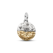 Capricorn Zodiac Medallion Charm