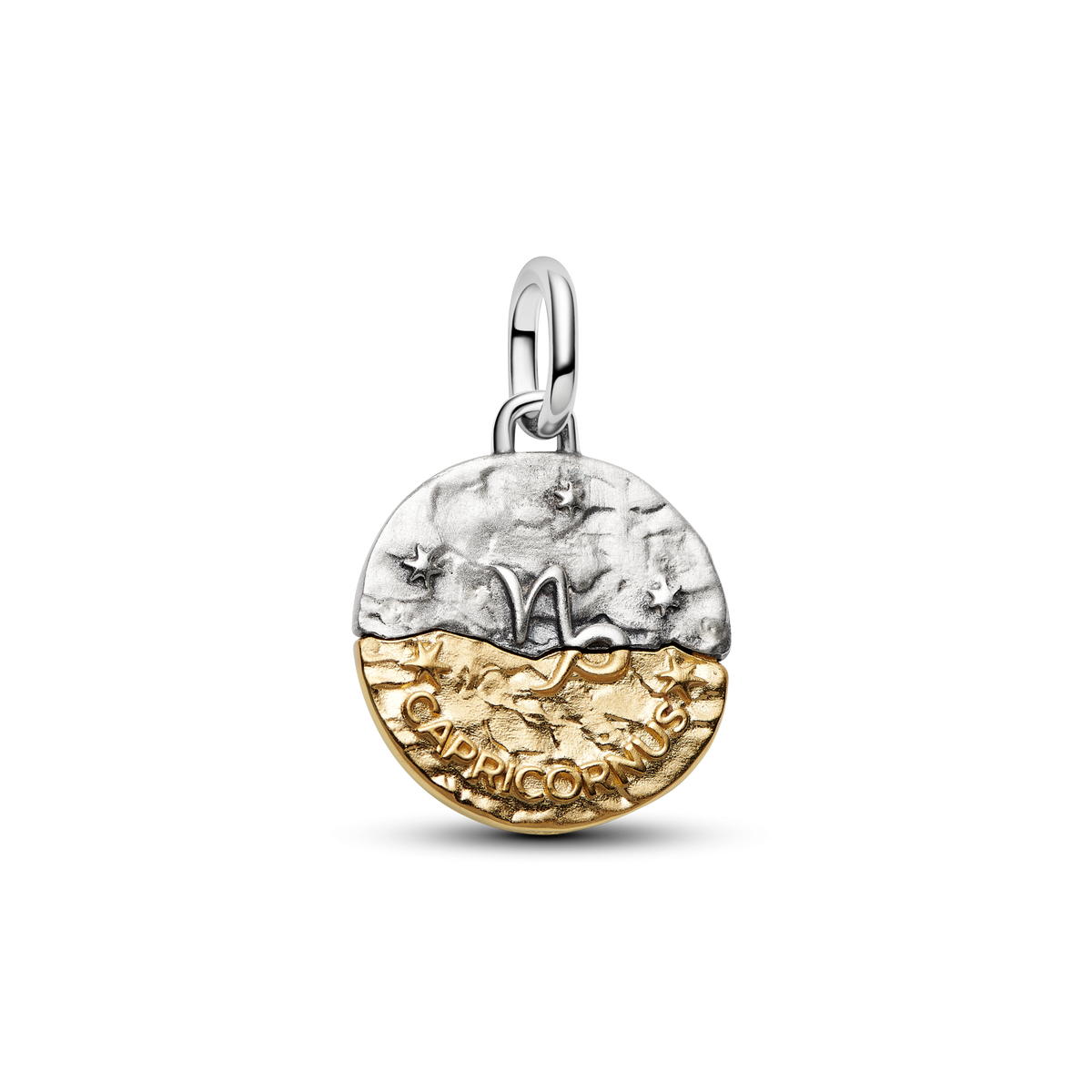 Capricorn Zodiac Medallion Charm