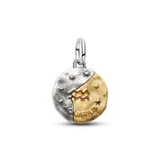 Aquarius Zodiac Medallion Charm