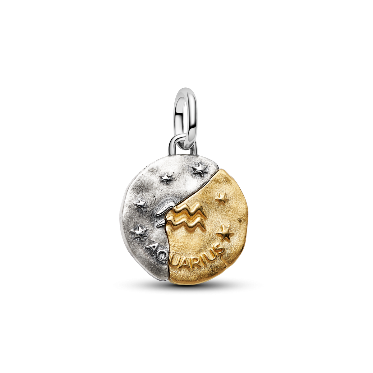 Aquarius Zodiac Medallion Charm