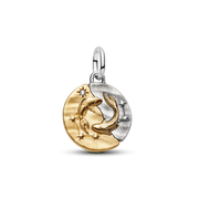 Pisces Medallion  Charm Necklace Set