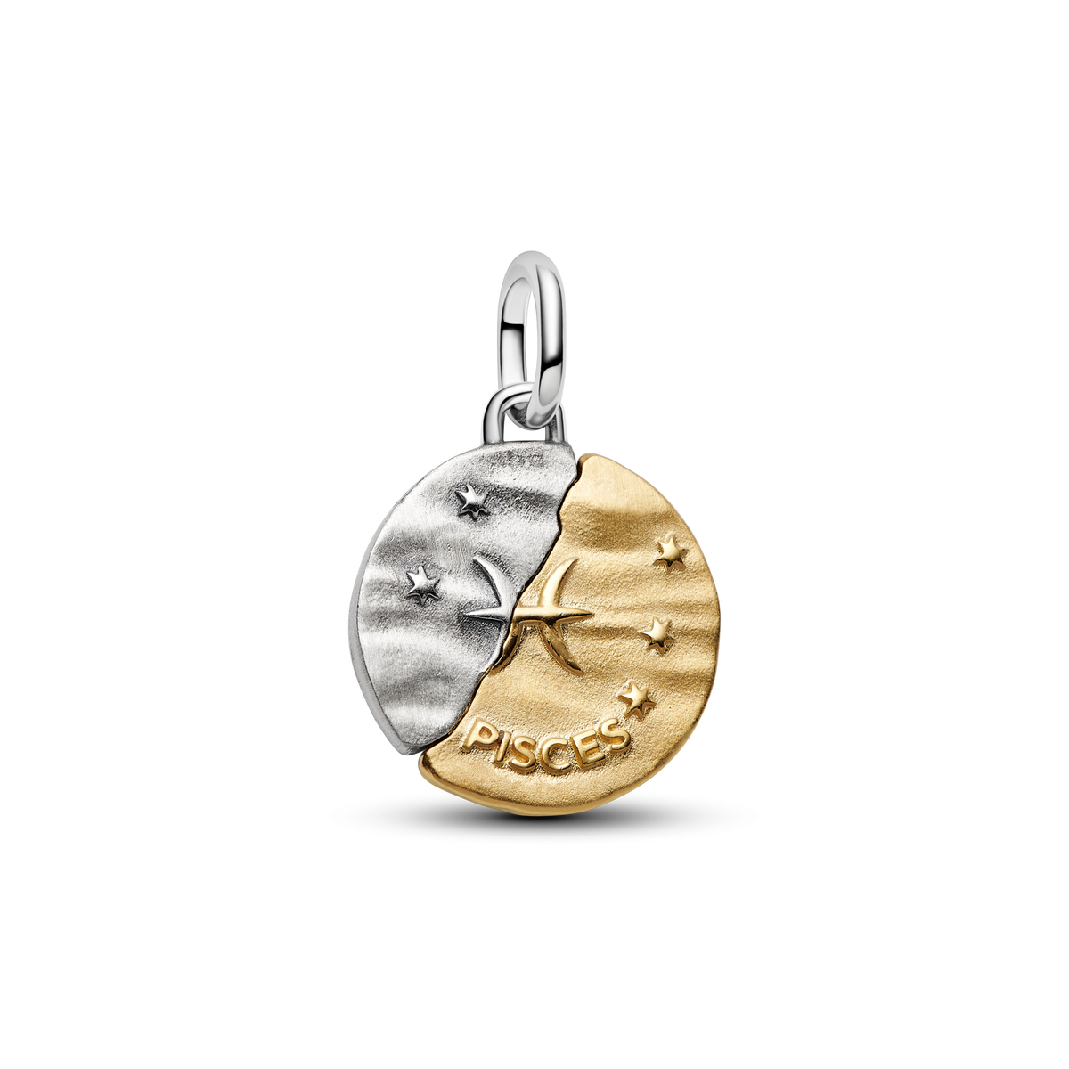 Pisces Zodiac Medallion Charm
