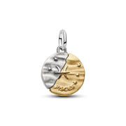 Pisces Zodiac Medallion Charm