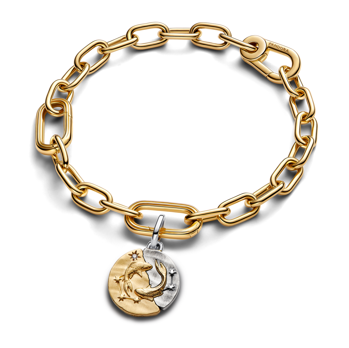 Pisces Zodiac Medallion Charm