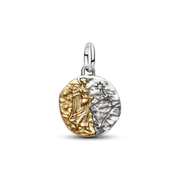 Virgo Zodiac Medallion Charm