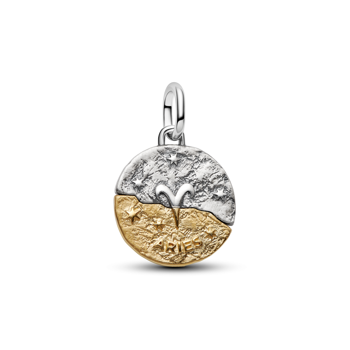 Aries Zodiac Medallion Charm