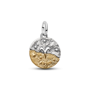 Aries Zodiac Medallion Charm