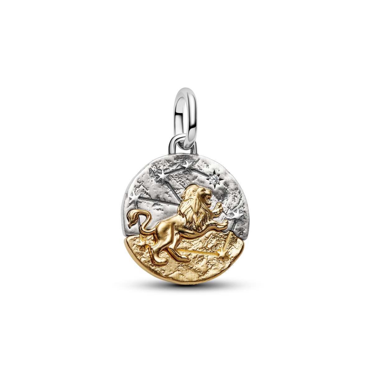 Leo Medallion  Charm Necklace Set