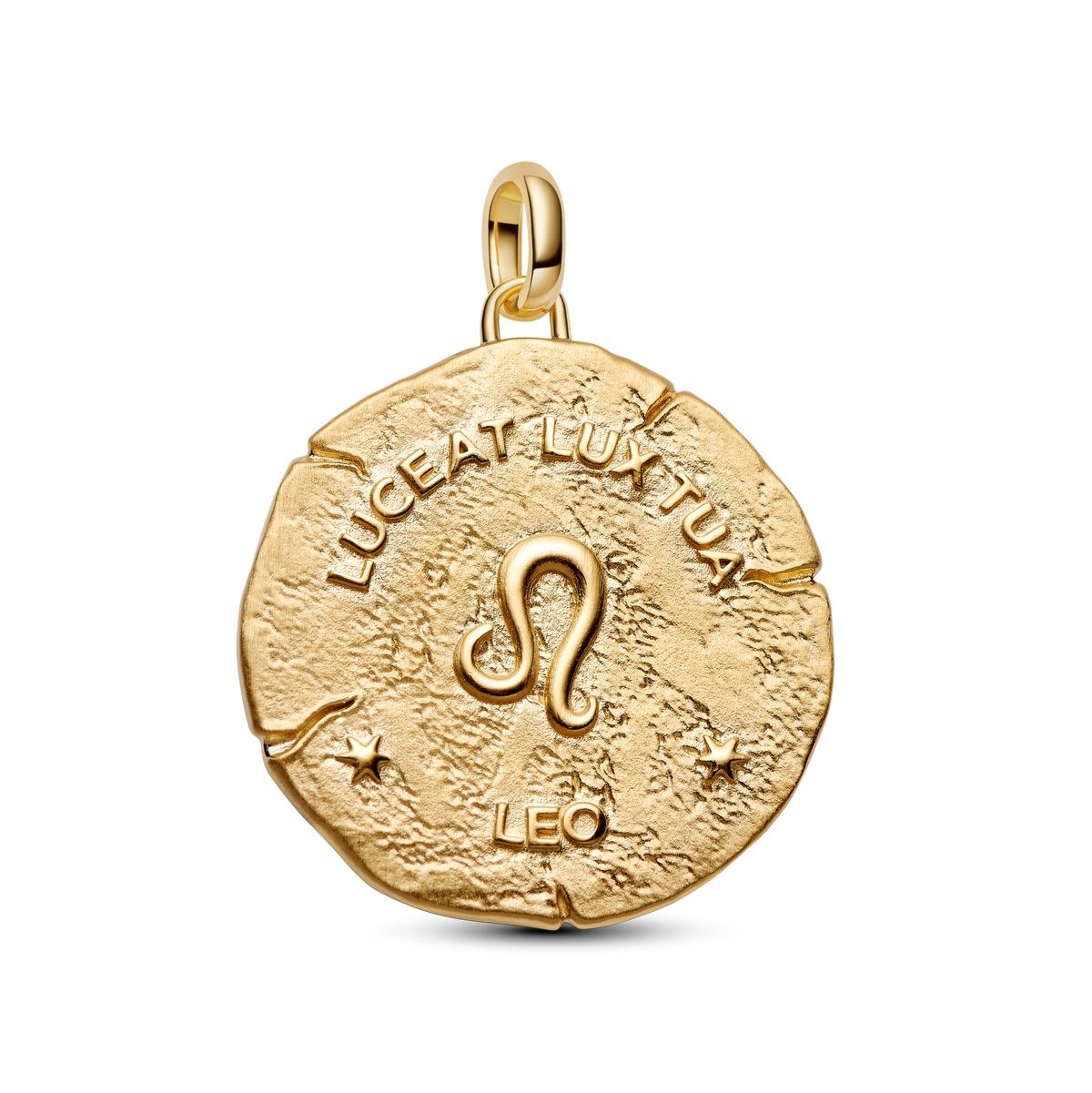 Leo Zodiac Oversized Medallion Charm